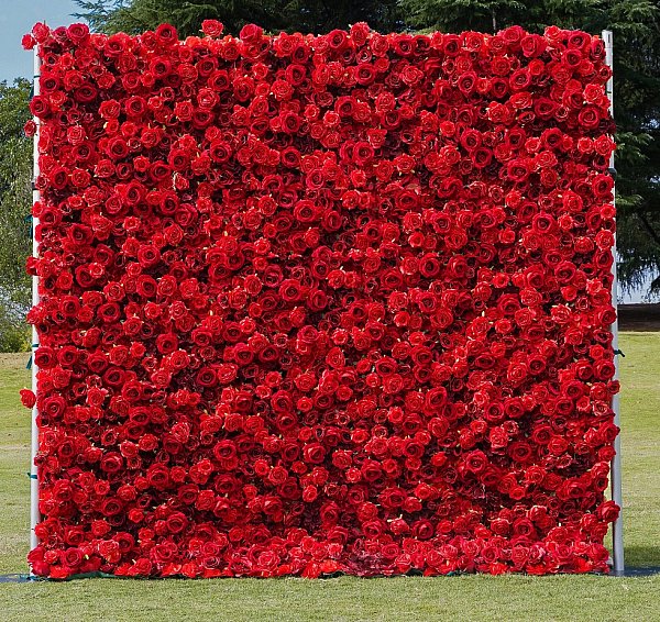 Red Roses Wall 1.jpg
